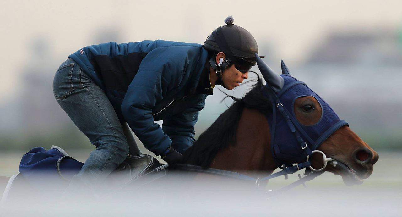 トレーナーイメージ